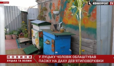 In Lutsk hat ein Imker auf dem Dach eines Mehrfamilienhauses einen kleinen Bienenstock…