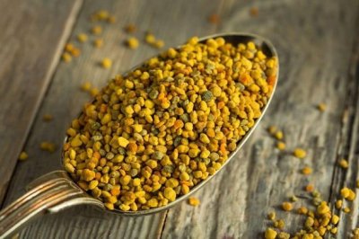 Aufgrund des Krieges und anderer widriger Umstände wird in diesem Winter ein Mangel an Pollen…