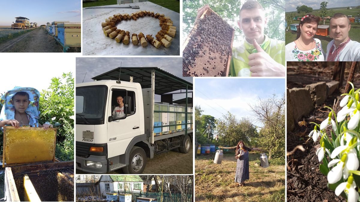 Not long ago, we, the newspaper "Pasika from A to Z", announced a photo contest "Beekeeping -…