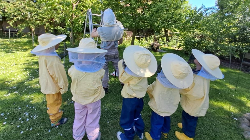 A beehive swarm within reach: The preschool children of the "Biene Maja" daycare experience nature up close during their trip to the Uhlmann beekeeping family a