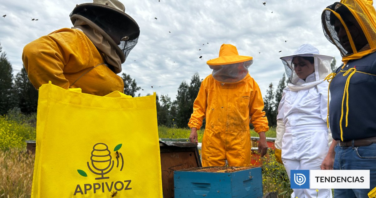 
AppiVoz: platform developed to promote beekeeping through voice data recording
