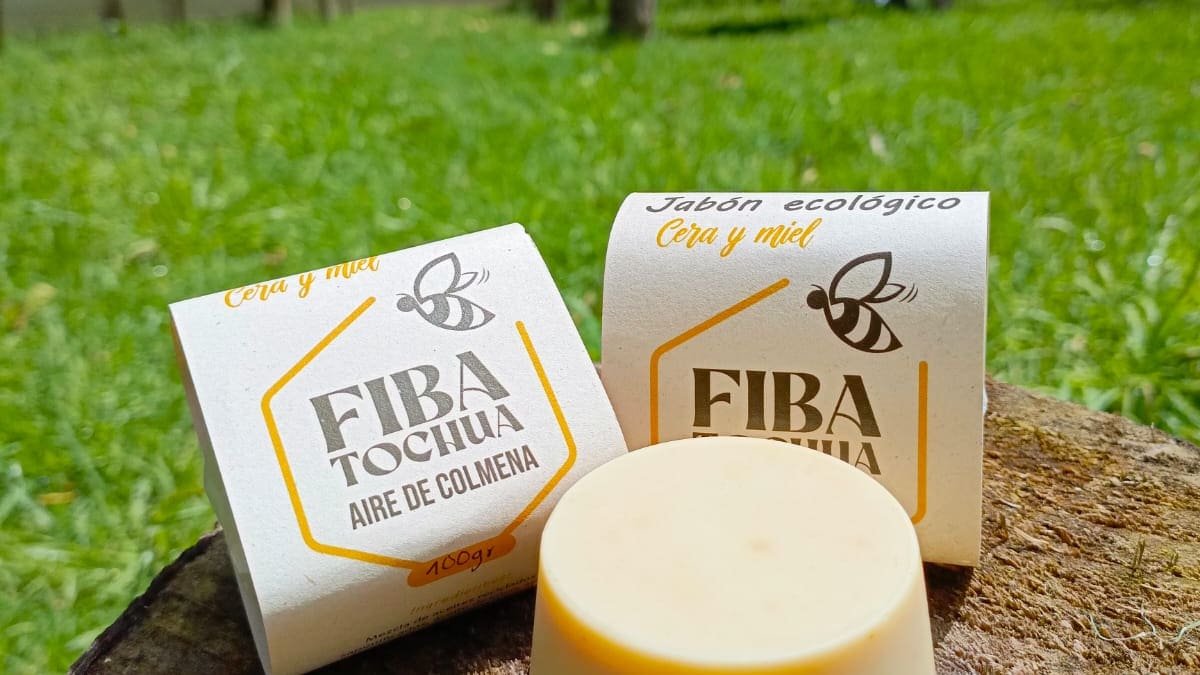In Tenjo, they promote a beehive-inspired experience for respiratory well-being 15/06/2026 - 12:21 GMT-5

 Add Caracol Radio on Google
 
 Bees are recognized fo