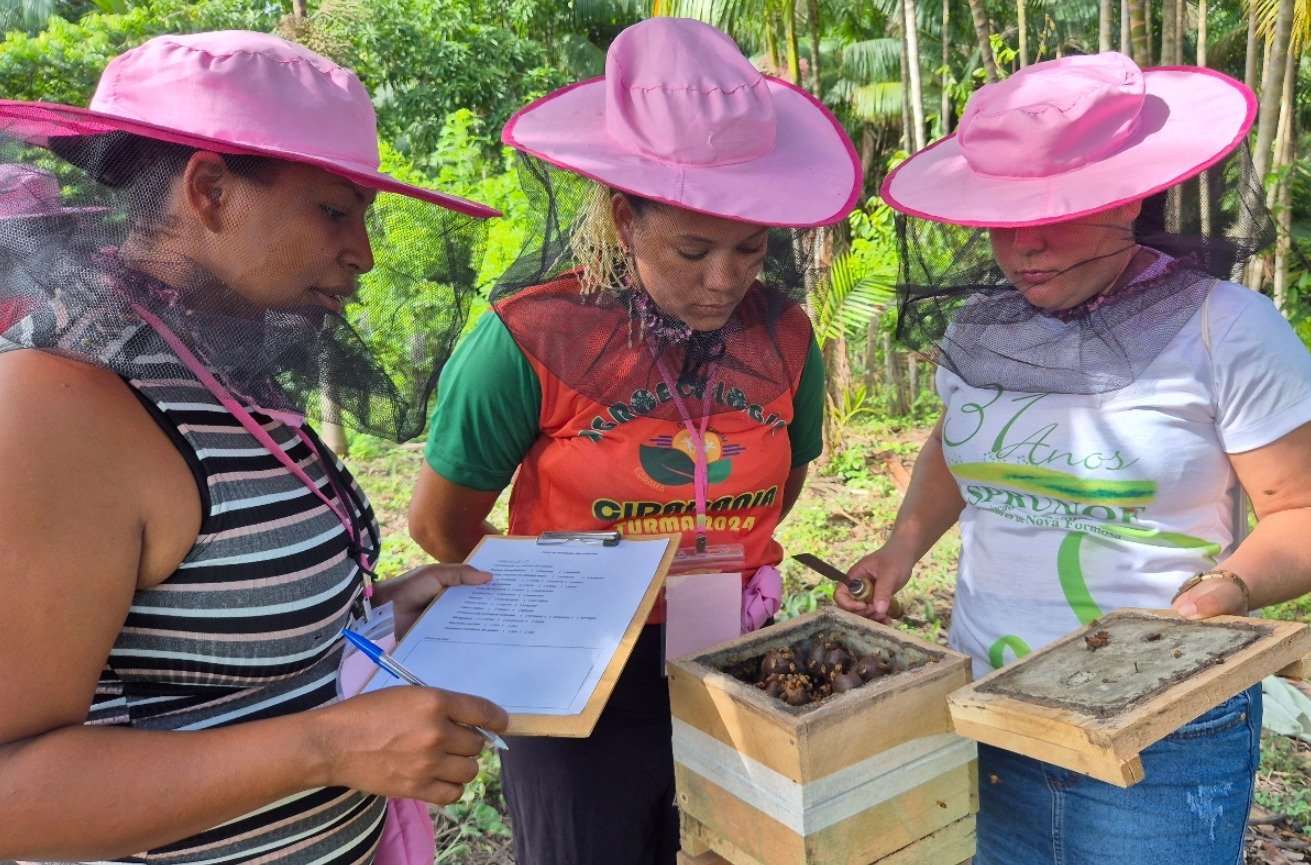 FAO ile işbirliği içinde geliştirilen ve Embrapa Amazônia Oriental'ın teknik desteğiyle…
