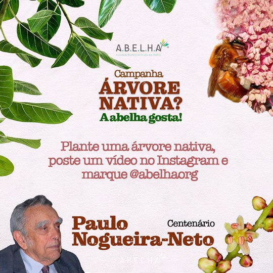 Arıların Yerel Ağaçları Araştırmacı Paulo Nogueira-Neto'nun doğumunun yüzüncü yılını kutlamak…
