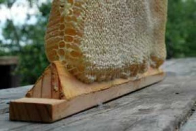 In Odesa wurde ein neuer organischer Bienenstock eröffnet, und bis zum 10