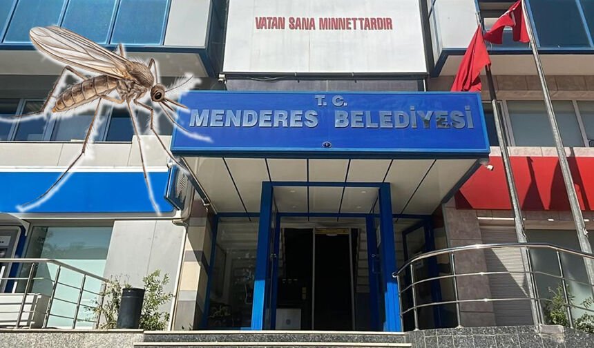 Sinek isyanına enteresan savunma: Önceliğimiz arılar! - Ege'de Sonsöz