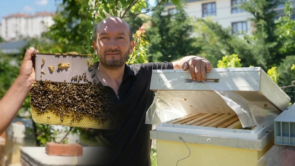 He Holds Bees with His Bare Hands: 'The Man Who Whispers to Bees'