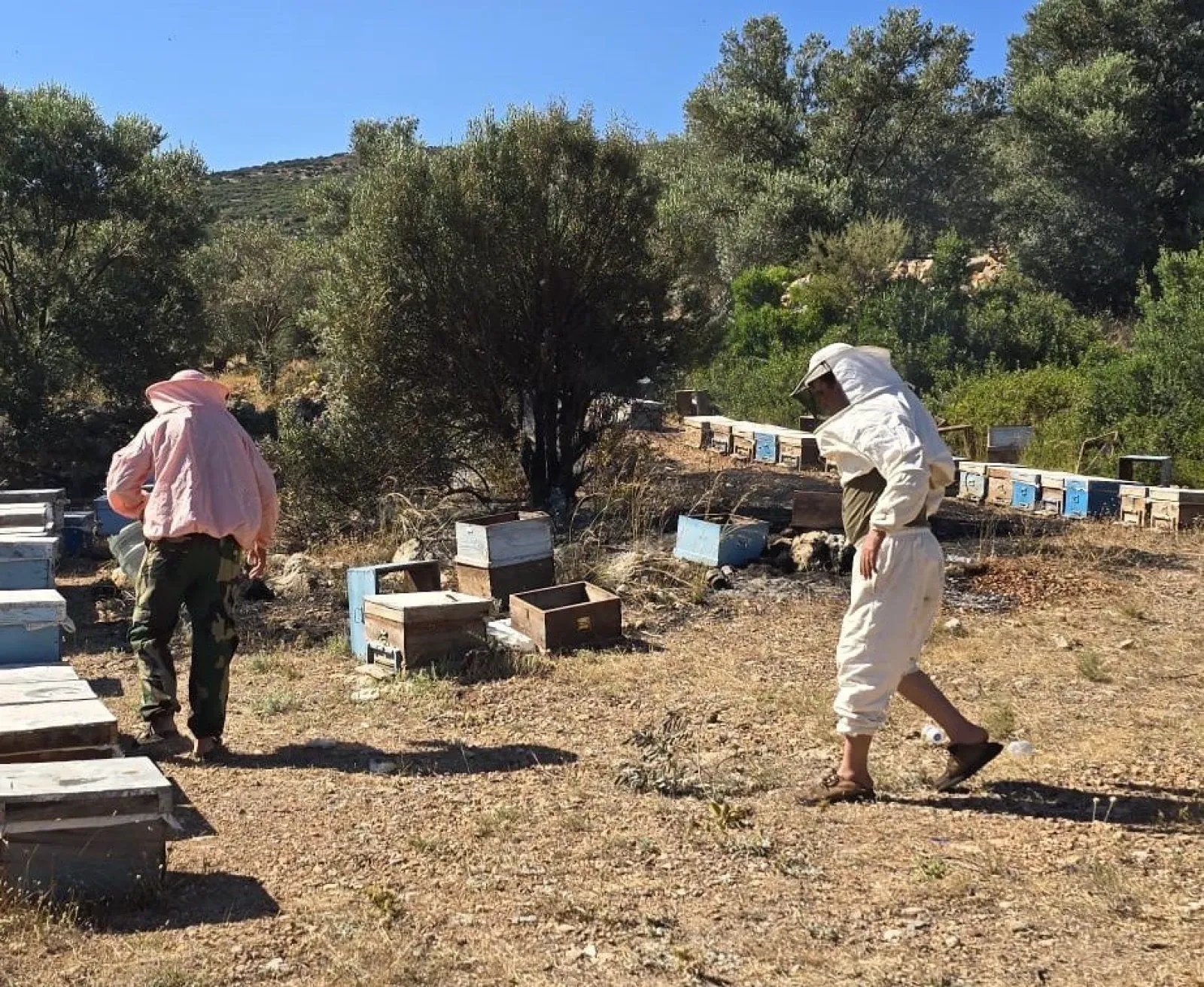 Fire breaks out in beekeeper accommodation area in Datça