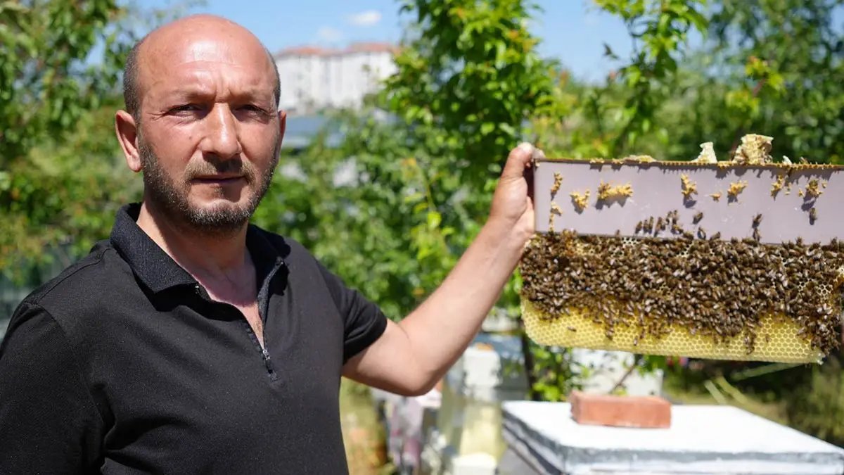 Der Mann, der mit Bienen flüstert
