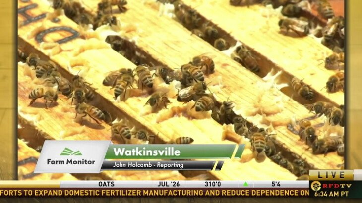 WATKINSVILLE, Ga. ( Farm Monitor ) — Les abeilles jouent un rôle essentiel dans l'agriculture…