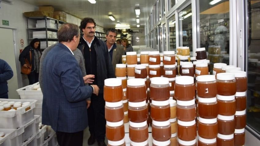 21 mars 2019 APICULTURE APICULTURE