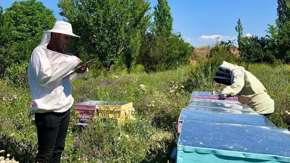 
 
 
 
 
 The beehives of local producers in Sandıklı, Afyonkarahisar, were inspected by the District Directorate of Agriculture and Forestry. The inspections a