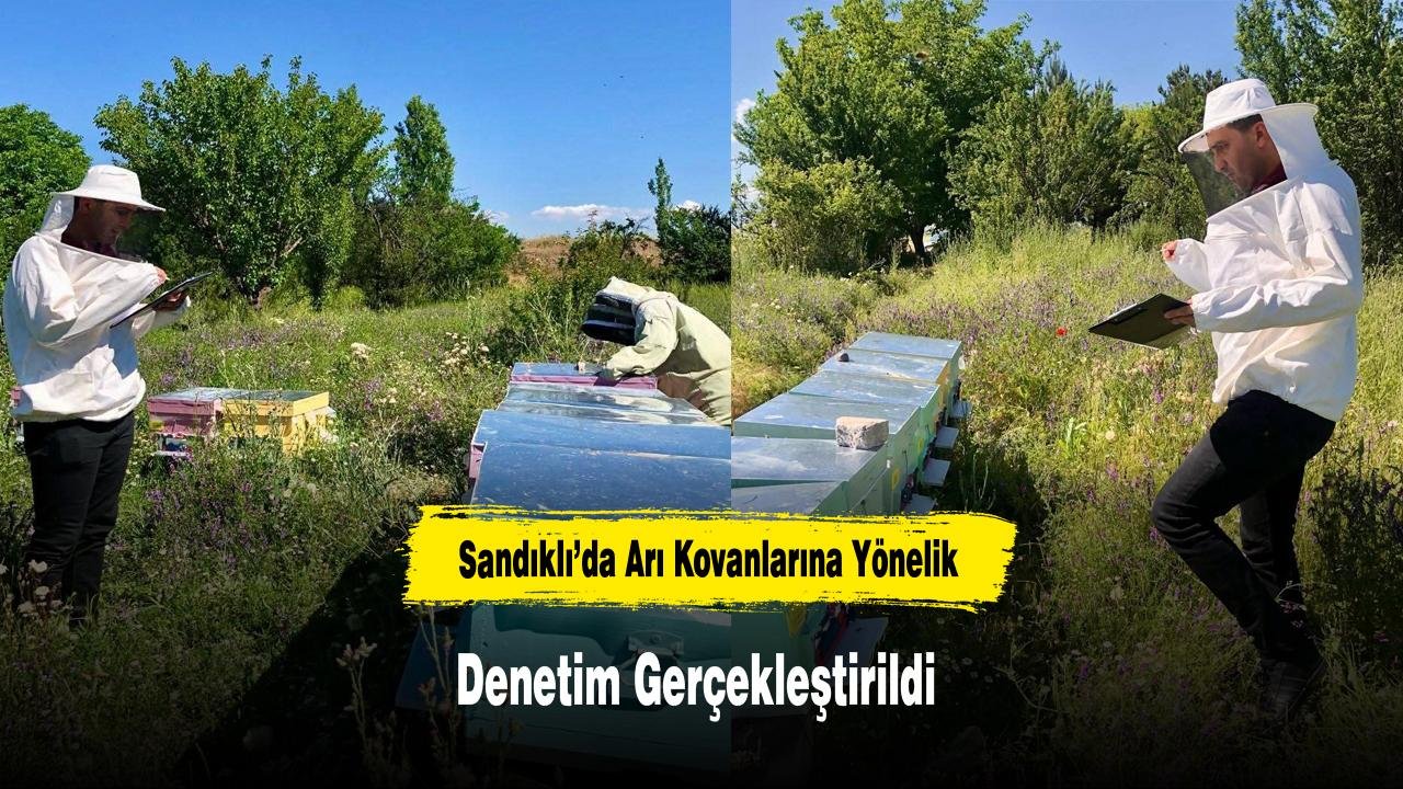 Inspection of Bee Hives Conducted in Sandıklı