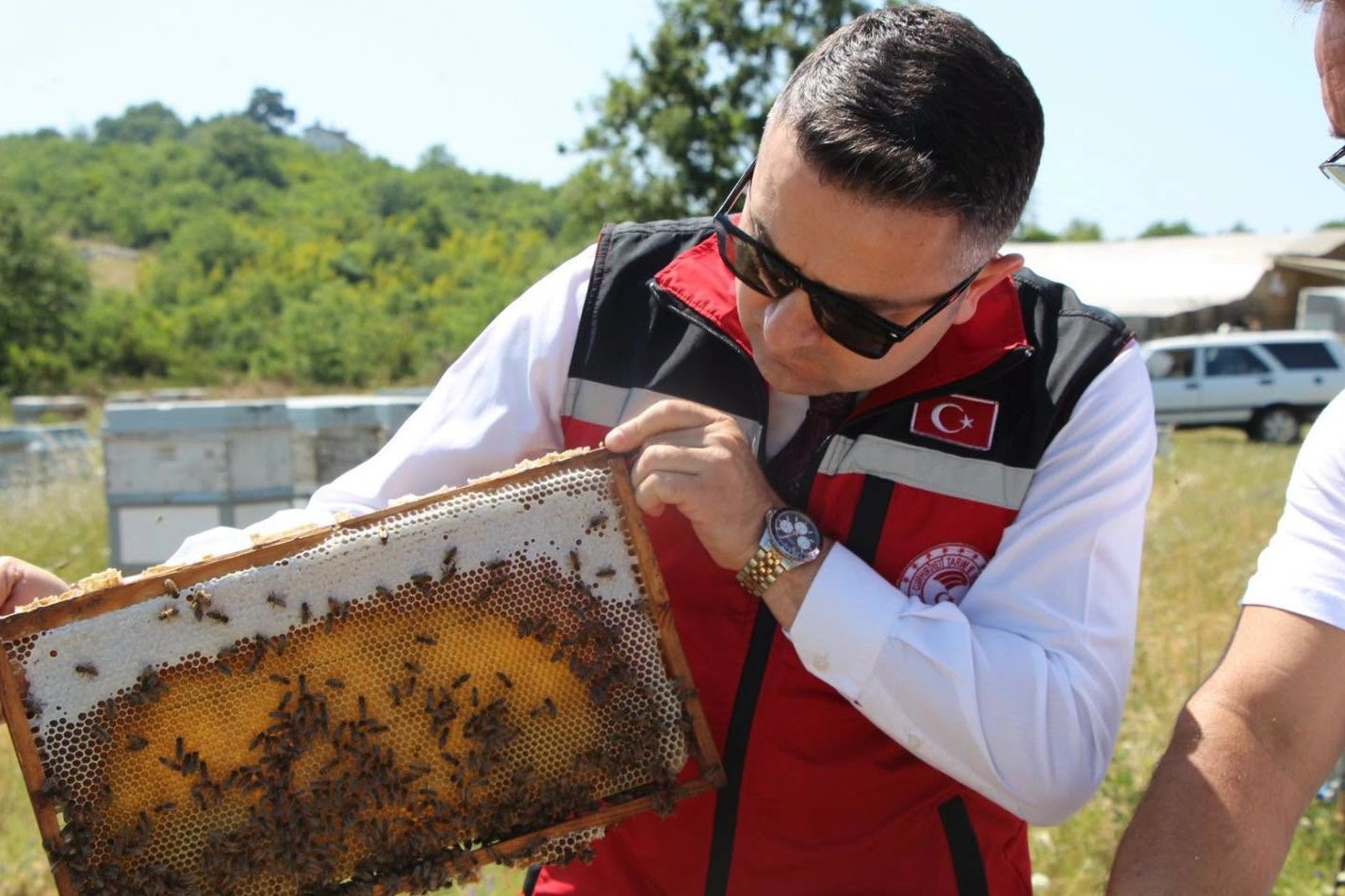 Mustafa Ilmeç, directeur de l'Agriculture et des Forêts de Yalova, a rencontré des apiculteurs…