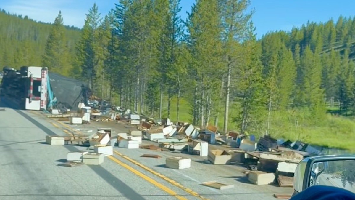 Yellowstone National Park is facing a significant bee crisis following a semi-truck accident on Tuesday that involved numerous beehives. Dalton Broadus from Wes
