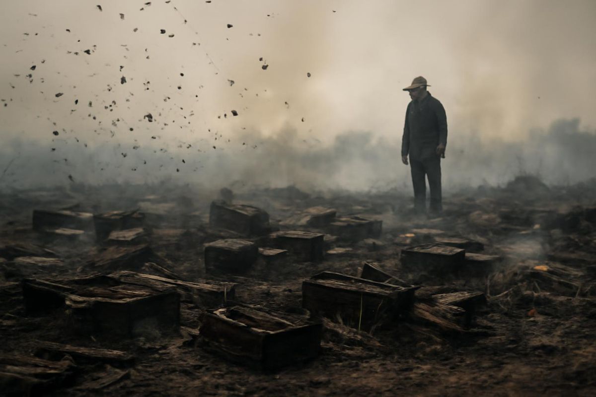 In Aydın's İncirliova district, a fire devastated the efforts of a local beekeeper. The blaze, which started in a dry grass area in Hacıaliobası neighborhood, q