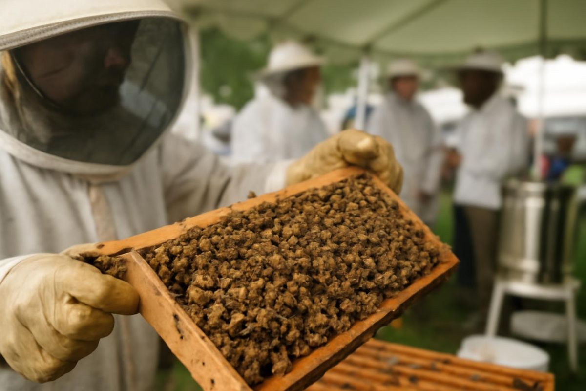 Last week, the Queensland Beekeepers Association convened its annual conference in Bundaberg, where beekeepers confronted the significant challenge of Varroa Mi