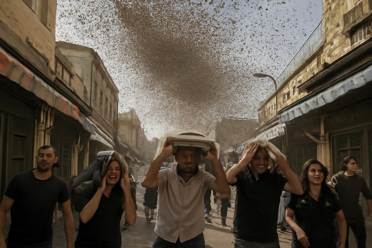Residents seek shelter as swarms of bees invade Israeli skies.