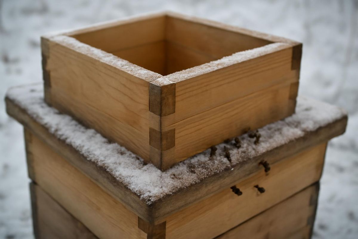Viele Jahre lang verwendete ich Wattepolster zur Isolierung der Bienenvölker im Winter