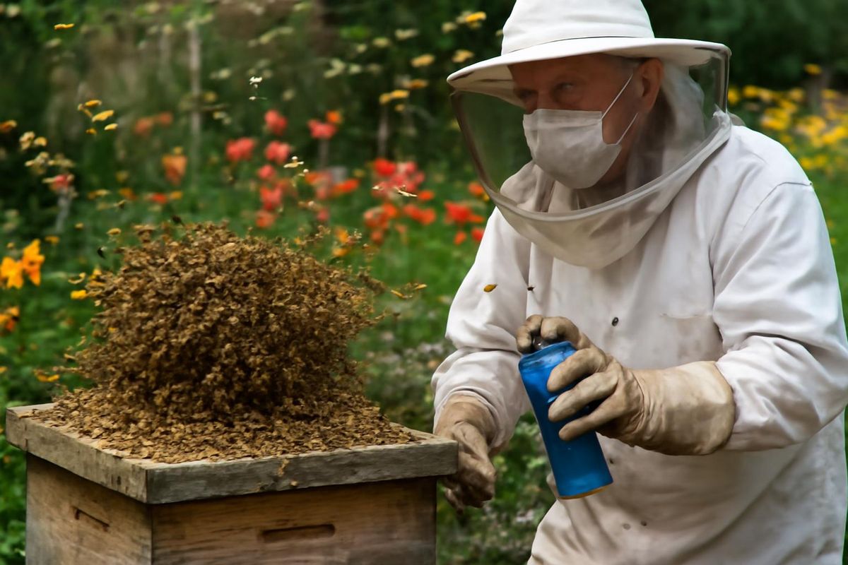 アフリカナイズドハニー蜂は、ブラジルに起源を持つハイブリッド種で、アメリカ南部の13州に広がっています。「殺人蜂」として知られるこの種は、強い防御本能と大群での攻撃傾向から危険視されています…