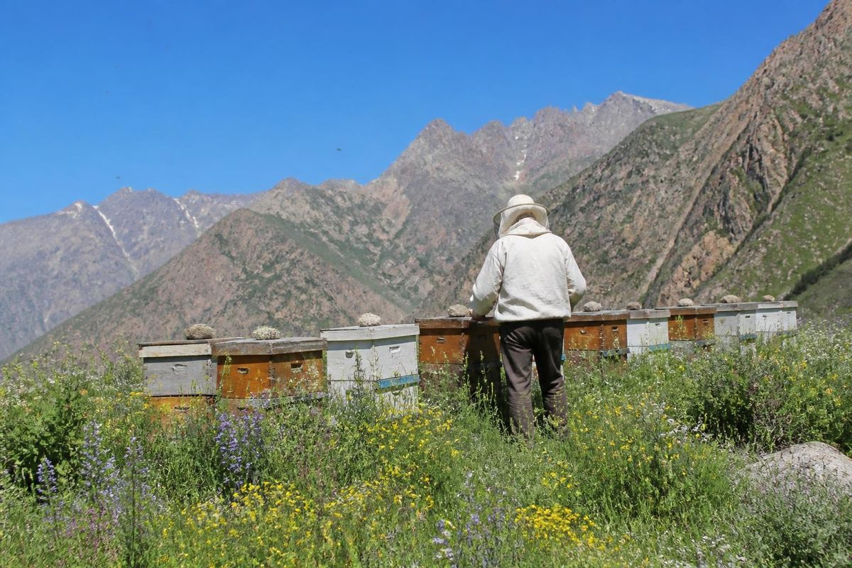Das Ehepaar Şener und Emine Keskin betreibt seit 20 Jahren in Hakkari, einer Region in der…