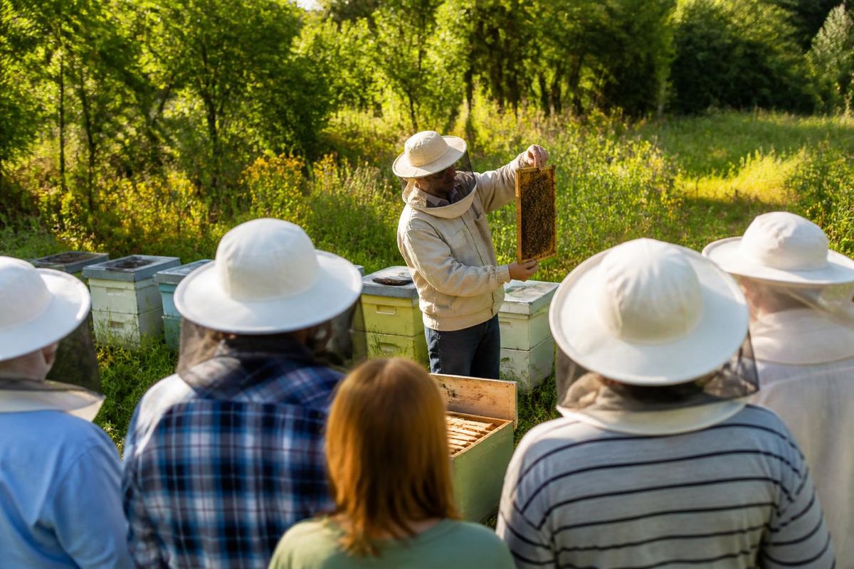 Ludhiana (Punjab), 16. September 2026: Die Entomologie-Abteilung der Punjab Agricultural…