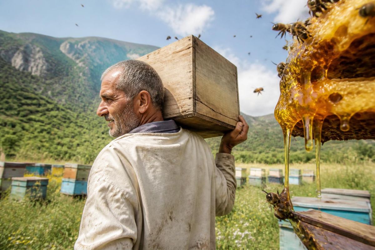 Le Festival du Miel met en avant la longue tradition apicole de Kalbajar, réunissant des…