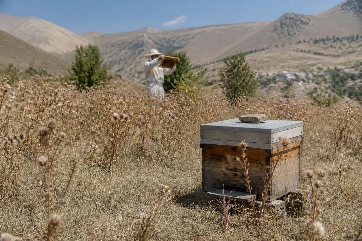 The honey harvest in Gümüşhane for 2026 has concluded, with beekeepers reporting a significant drop in yield due to adverse weather conditions, estimating losse