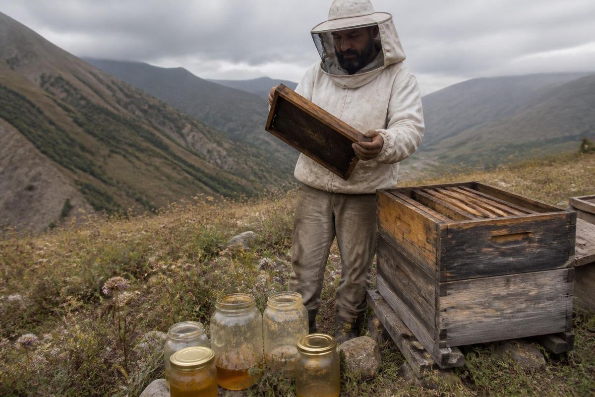 This year's honey harvest in Gümüşhane has seen a yield loss of 40% to 50% due to adverse climate conditions. Beekeepers are warning the public about counterfei
