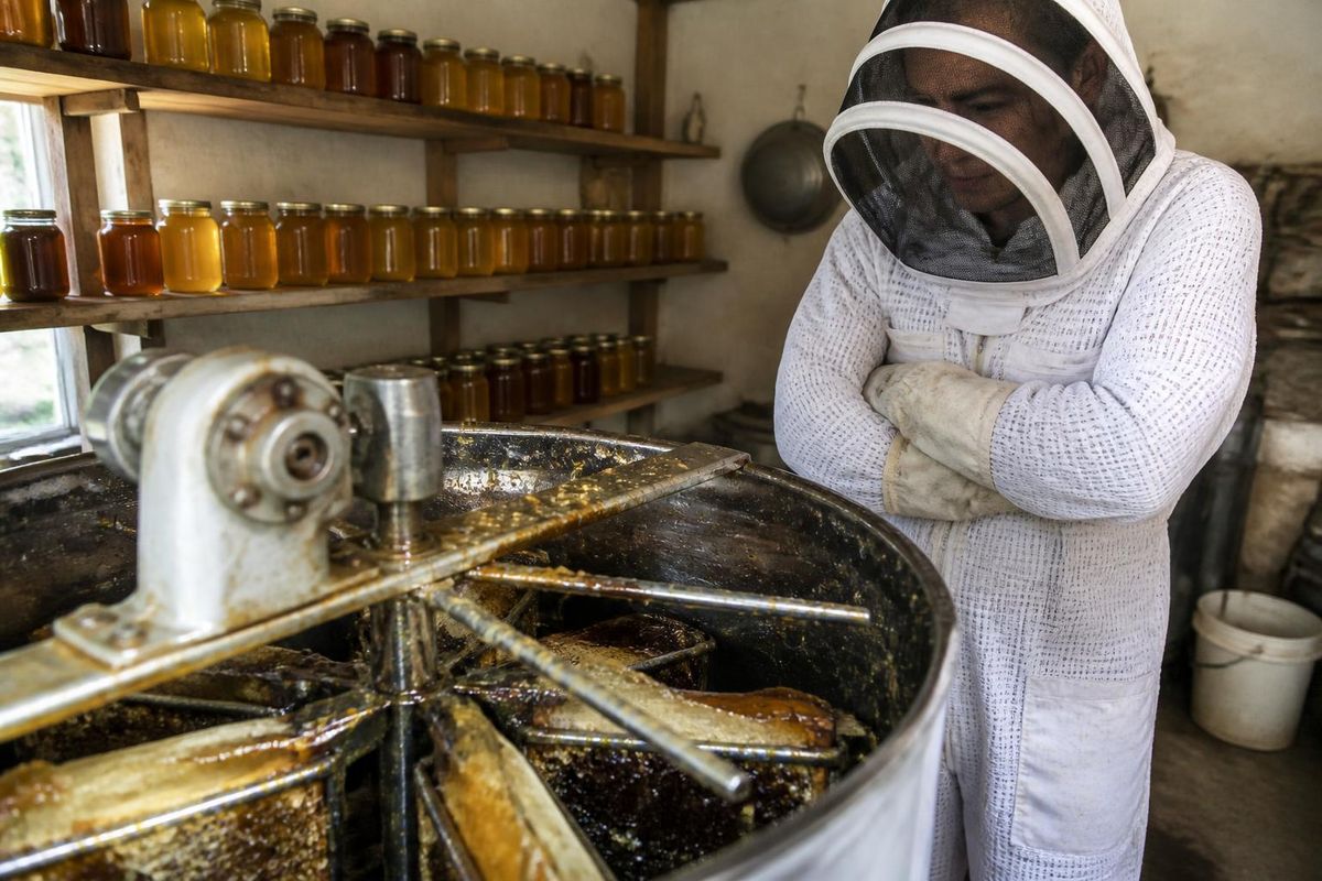 As the 2026 honey season nears its end in Mersin, the balance of production, sales, rising costs, and winter preparations has become clear. Adem Kurt, President