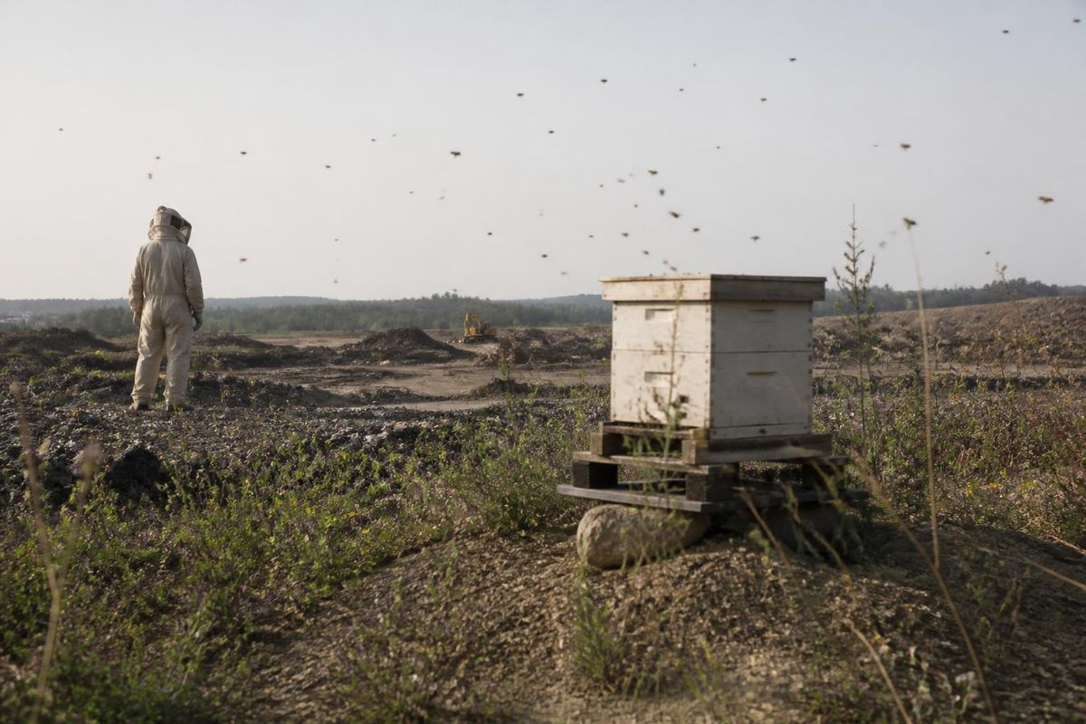 Concerns rise among beekeepers over B2N's impact on local hives.