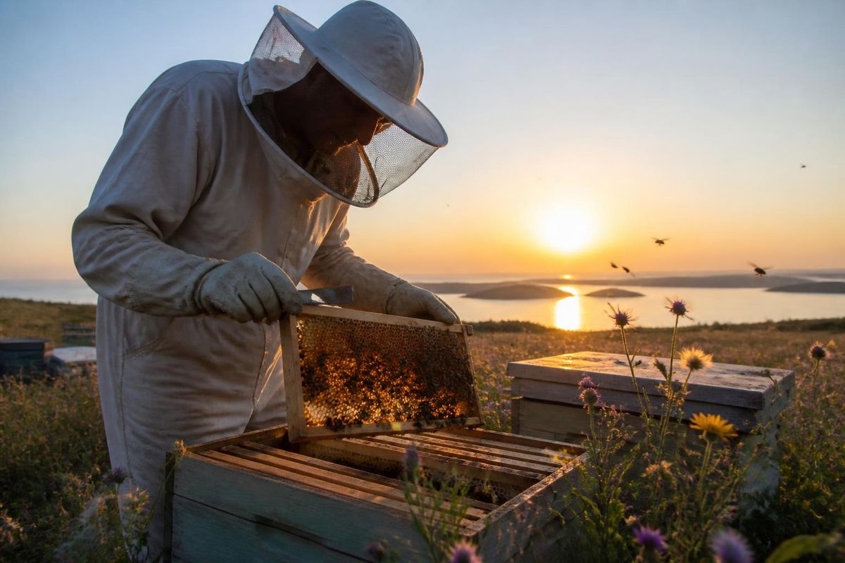 The Manavşa Bee Pasture in Yenişehir has successfully produced its first honey harvest, marking a significant milestone for the ecological agriculture initiativ