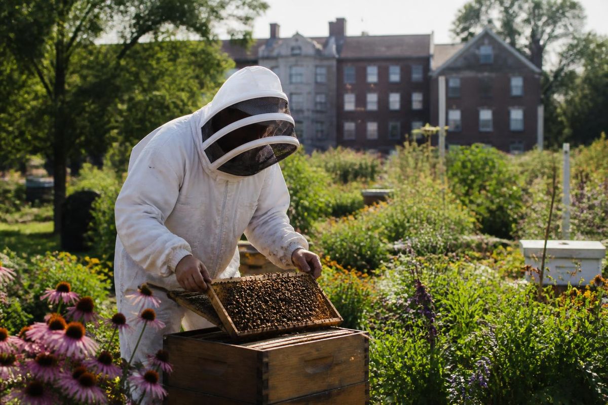 SUNY Geneseo offers a variety of clubs for students, including the Beekeeping Club, which attracts those interested in apiculture. On September 18, I spoke with
