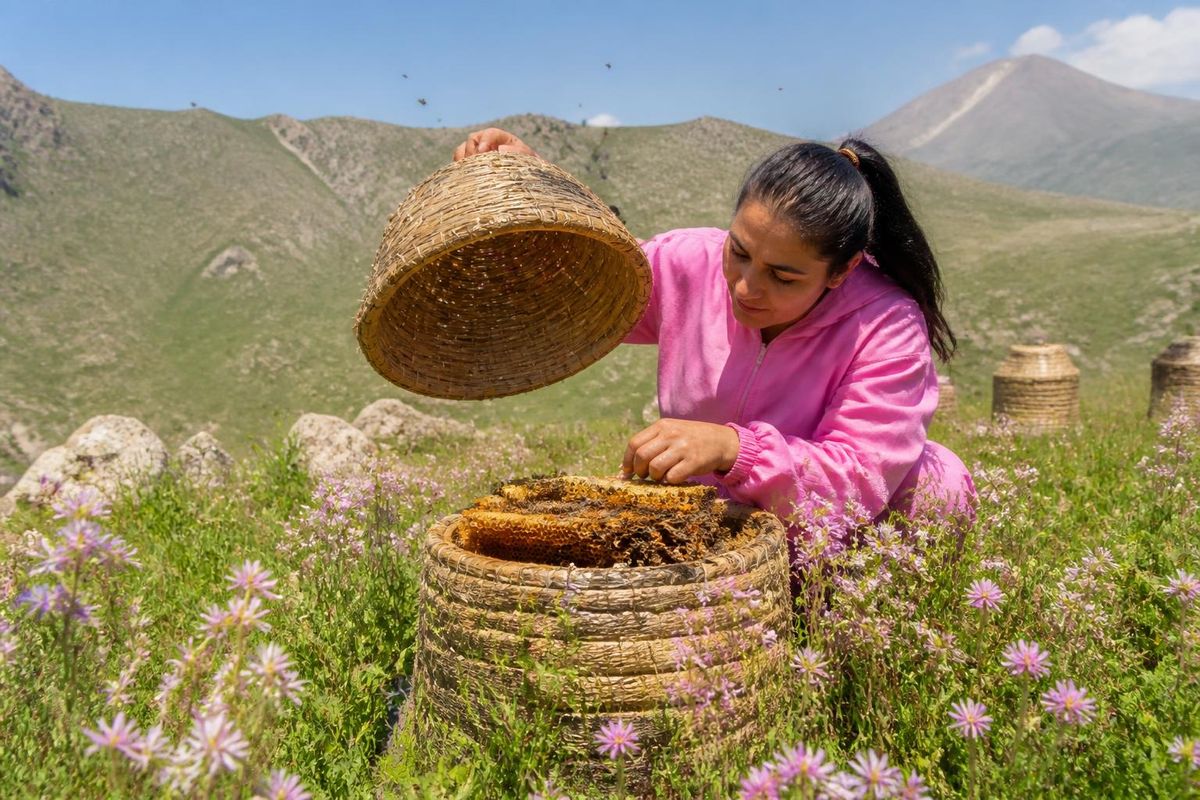 In Van, the number of female beekeepers rose from 79 in 2020 to 157 in 2026, coinciding with the start of honey harvesting from traditional basket hives in Geva