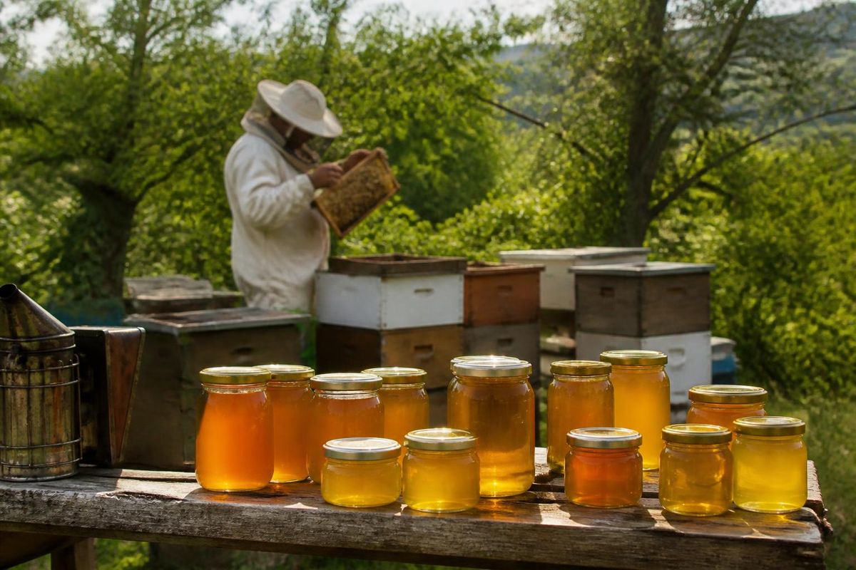 Yusuf Göktepe, a beekeeper from Şırnak, began his beekeeping journey four years ago after receiving a suggestion that led him to the field. His honey has since 