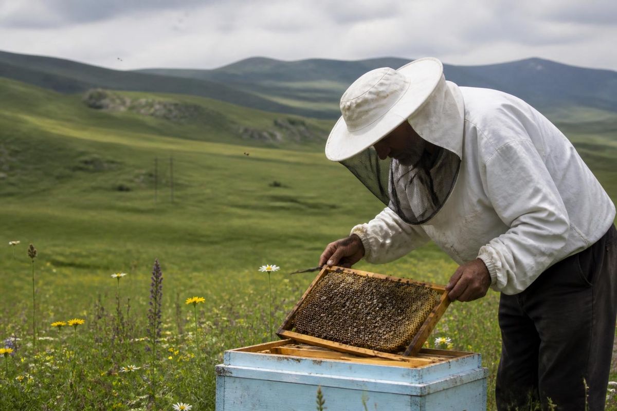 A meeting was held in Ardahan to inform producers about beekeeping, livestock, and the Farmer…