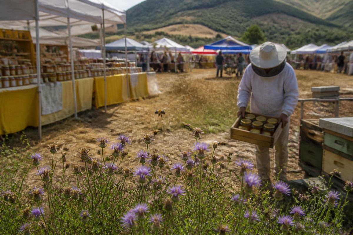 Caminomorisco und die Region Las Hurdes bereiten sich auf die Beekeeping and Tourism Fair of…