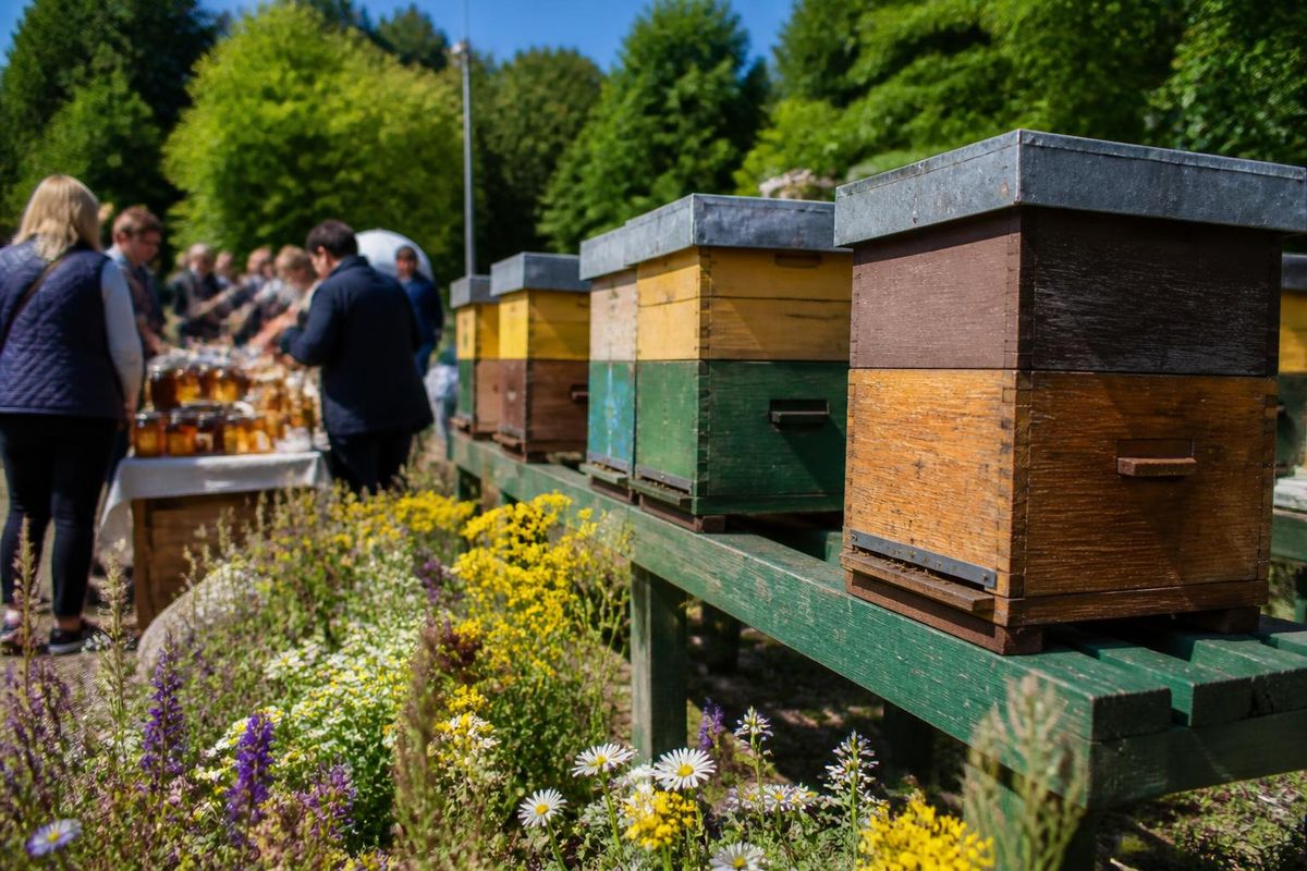 Le salon international de l'apiculture a été inauguré aujourd'hui dans le parc Tašmajdan à…