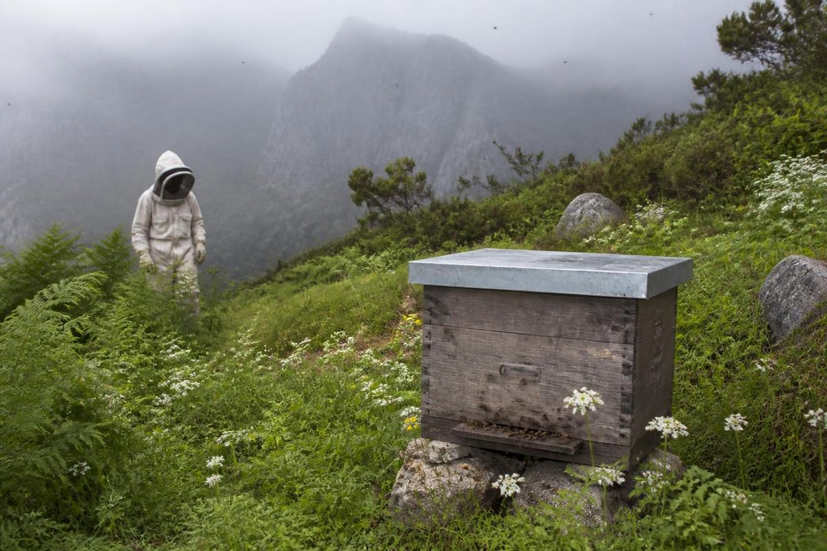 Erlete Elkartea and the ADR Urkiola have established a sanctuary in the Urkiola Natural Park,…