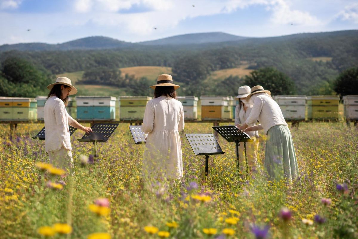 Çinbuk Eğitim Müdürlüğü'ne bağlı öğretmen orkestrası, 2 Ekim saat 19:00'da Gyeosan Bee Land'de…