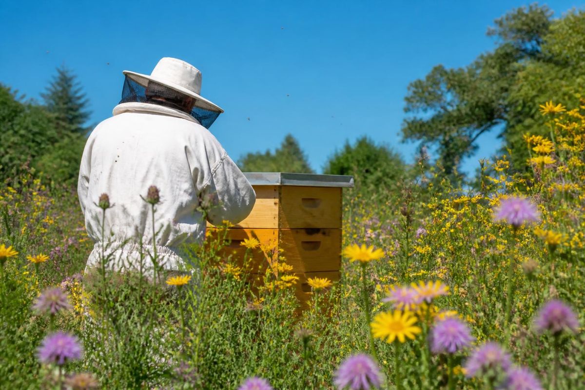 The Korean Beekeeping Association, established in 1967, has been designated as a public…