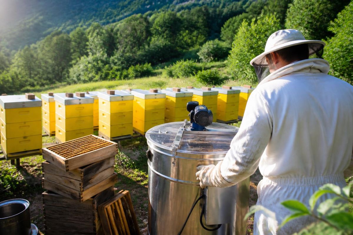 A beekeeper from Zaporizhzhia region received a microgrant to modernize his apiary by…