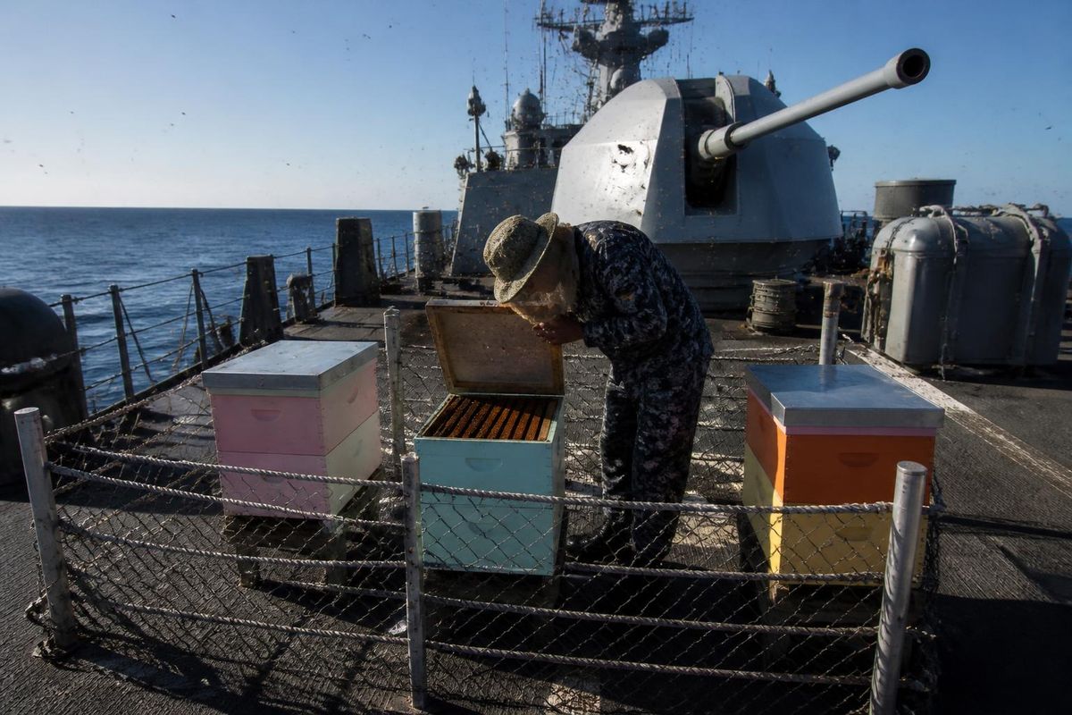 Sergeant Brian Vonk und Imker Evert Brouwer berichten über ihre Bienen an Bord der Zr.Ms