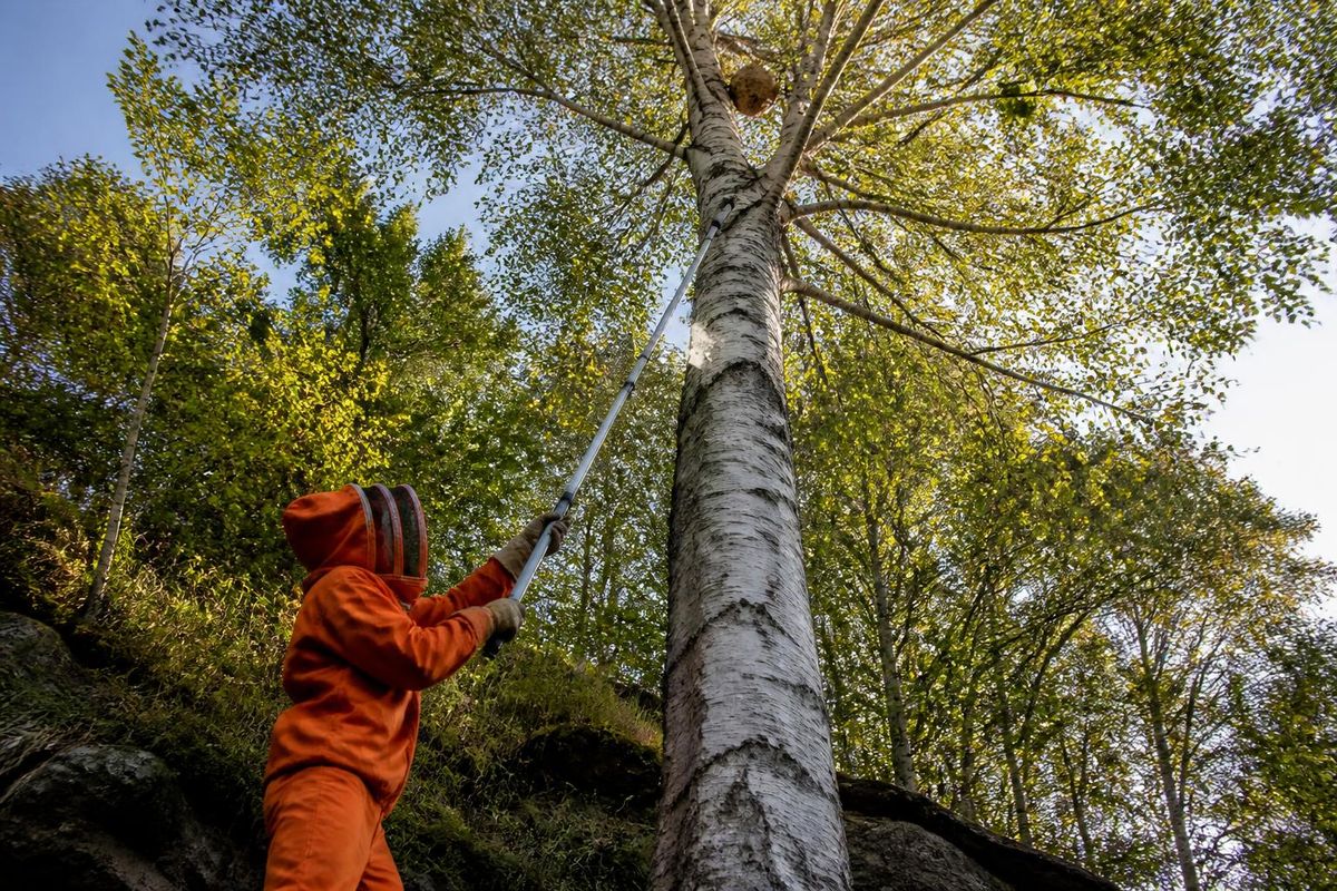 Herbert Gramsch puts on his orange protective suit and the sting-proof hood