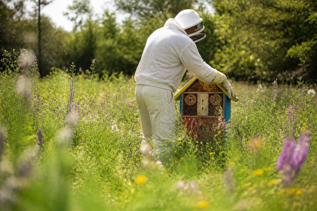 Mit dem Frühling und wärmeren Temperaturen sowie blühenden Blumen werden die Gärten in…