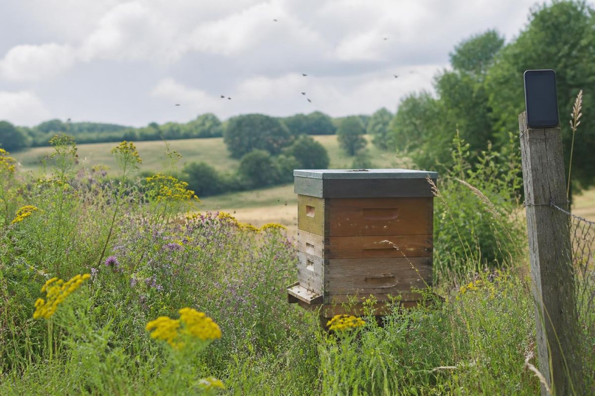 In Russia, including the Bryansk region, beekeepers may start receiving SMS notifications…