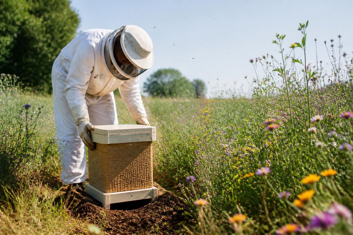 Abeille Verte will attend the Lyon Franchise Forum on October 8, 2026, to meet candidates and…