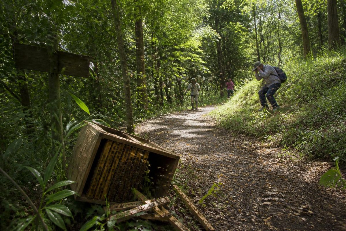 Loire'deki Saint-Maurice-en-Gourgois'de düzenlenen Trail Gargomançois sırasında, 4 Ekim…