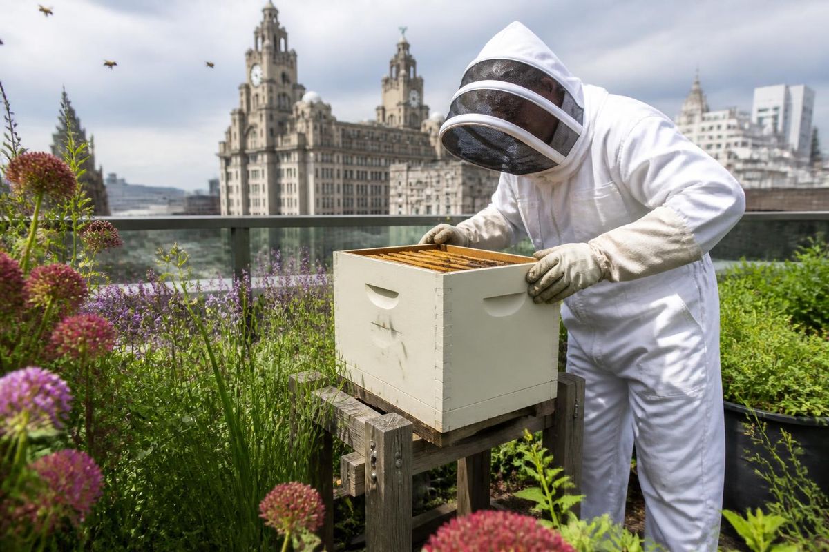 Bees Thrive on Liverpool Shopping Centre Roof