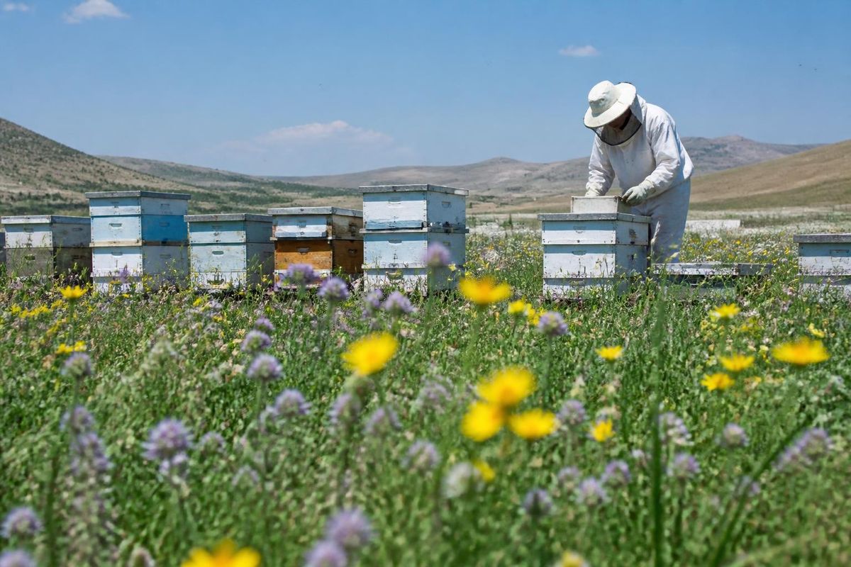 Konya Metropolitan Municipality continues to support producers in various agricultural fields,…